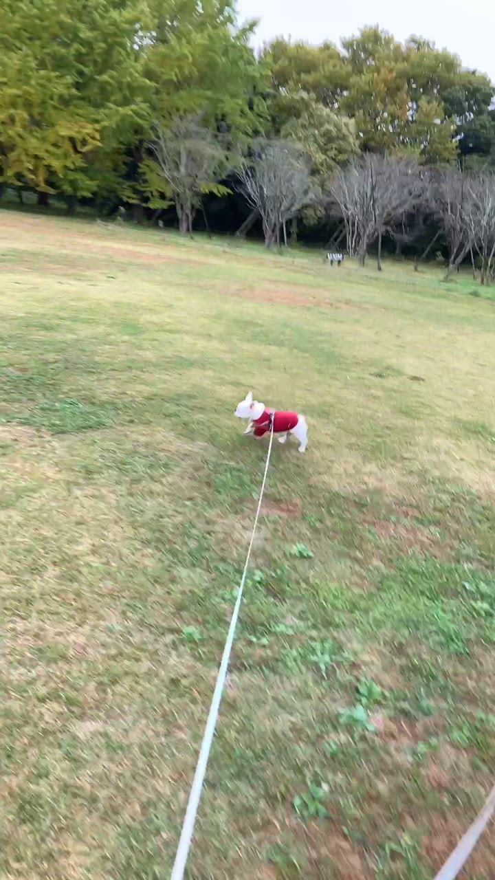 1件目のレビュー動画のサムネイル | 0