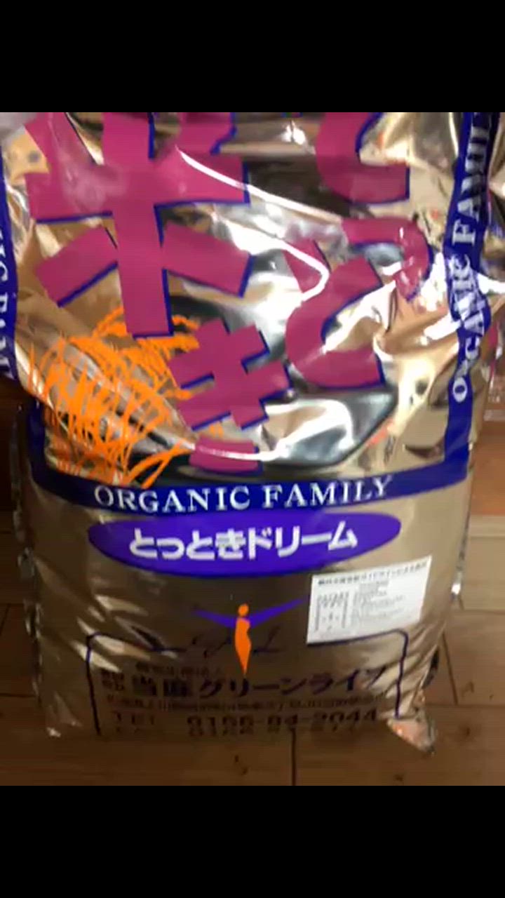 全体のレビュー動画のサムネイル | 2