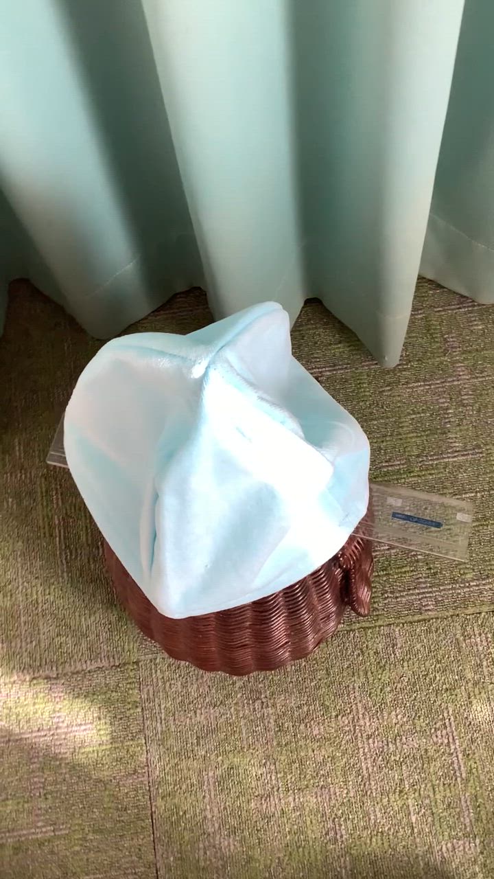 全体のレビュー動画のサムネイル | 4