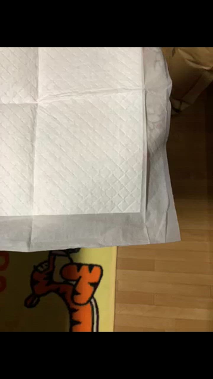 全体のレビュー動画のサムネイル | 14