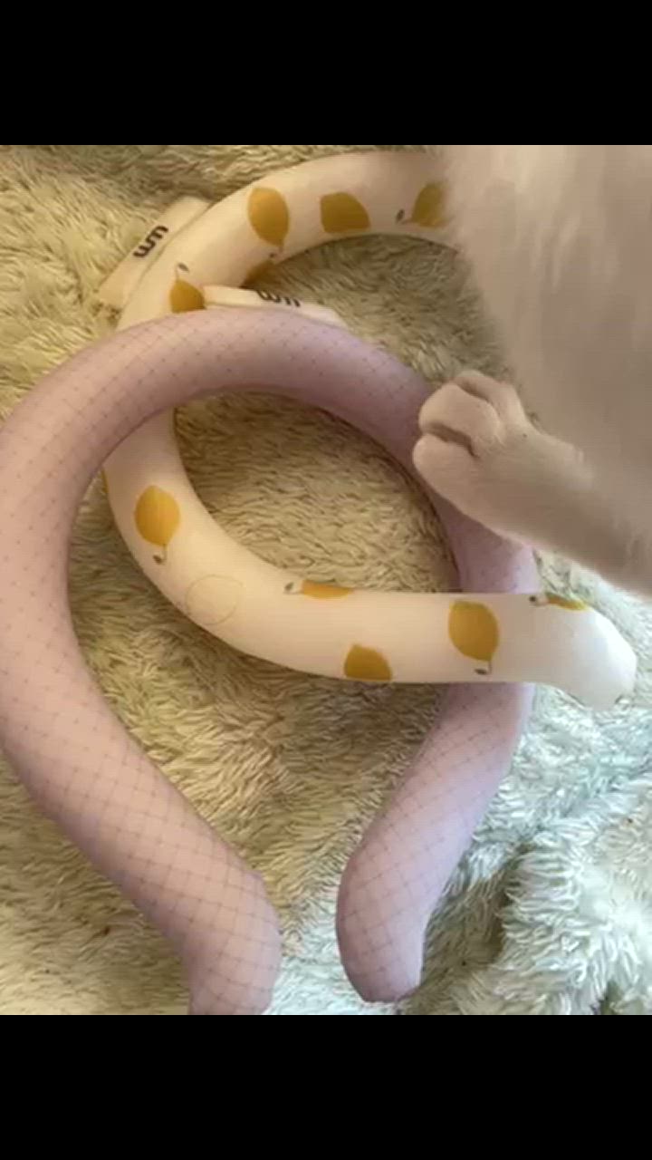 全体のレビュー動画のサムネイル | 14