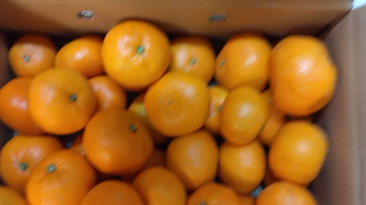 全体のレビュー動画のサムネイル | 1