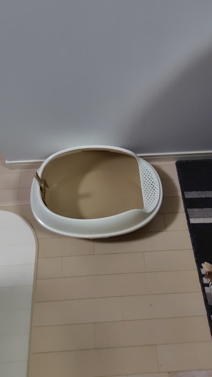 全体のレビュー動画のサムネイル | 0