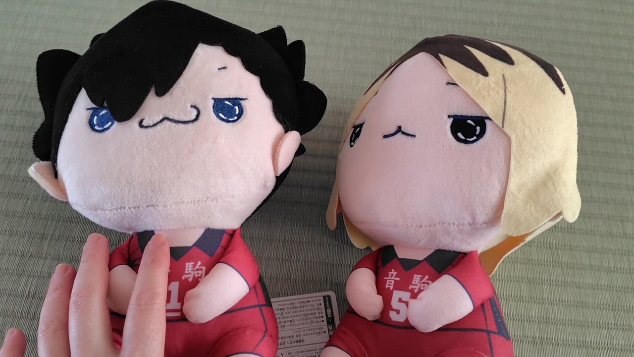 フリュー ハイキュー もちぴこぬいぐるみ2 全2種セット