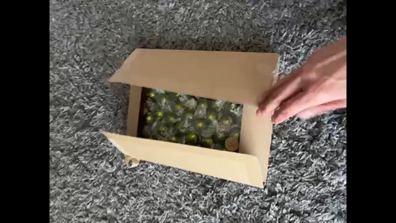 全体のレビュー動画のサムネイル | 3
