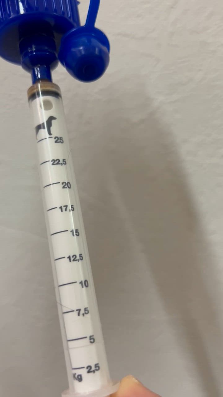 プロネフラ 新品未使用 2箱＋1箱 楽天市場】【C】【14時まで当日発送OK】犬猫用 ビルバック