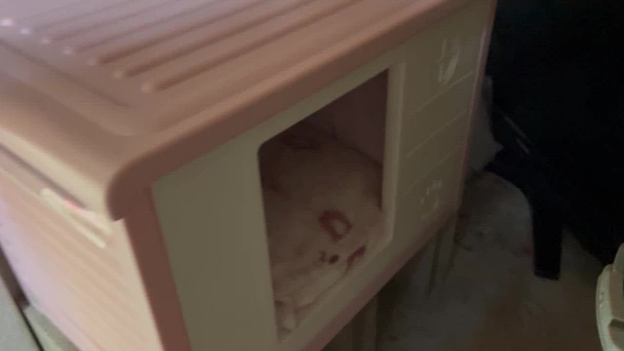 全体のレビュー動画のサムネイル | 4