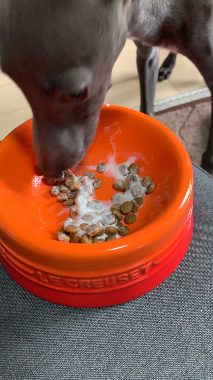 1件目のレビュー動画のサムネイル | 0