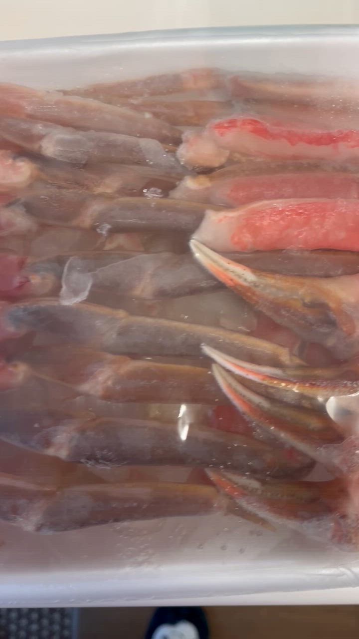 全体のレビュー動画のサムネイル | 9