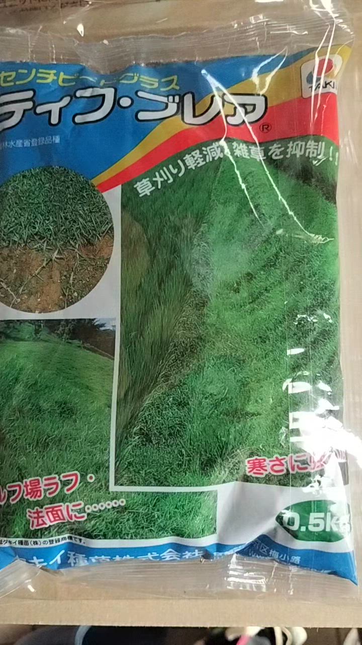 有効期限 26年1月まで 芝種 センチピードグラス ティフ・ブレア