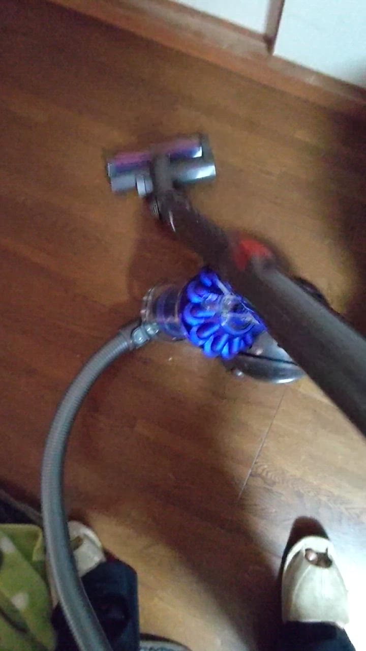 Dyson 掃除機 キャニスター掃除機 ダイソン DC48 Turbinehead