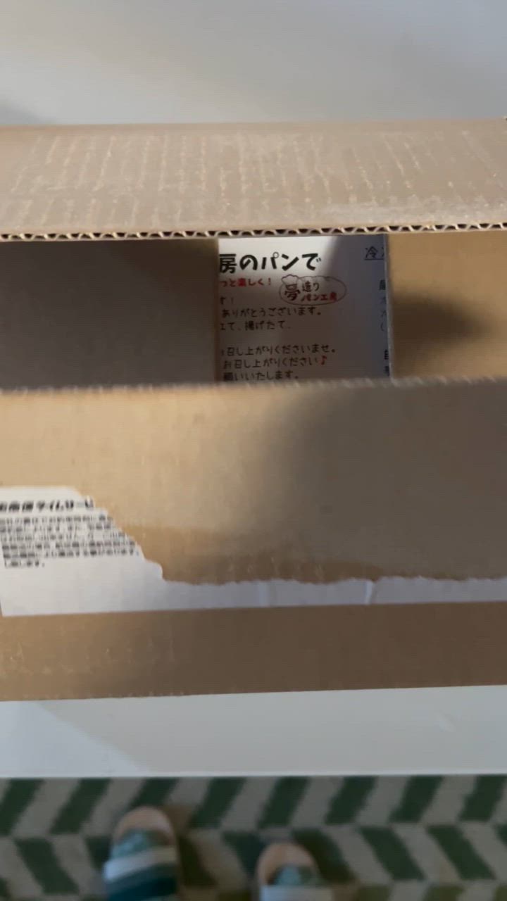 全体のレビュー動画のサムネイル | 0