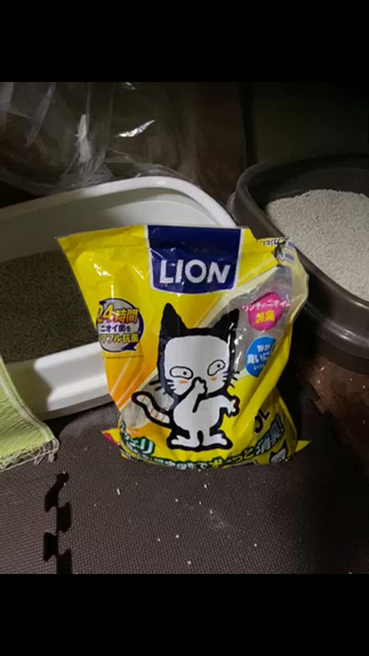 全体のレビュー動画のサムネイル | 11