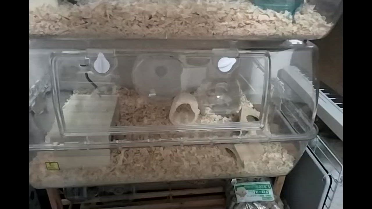 全体のレビュー動画のサムネイル | 0