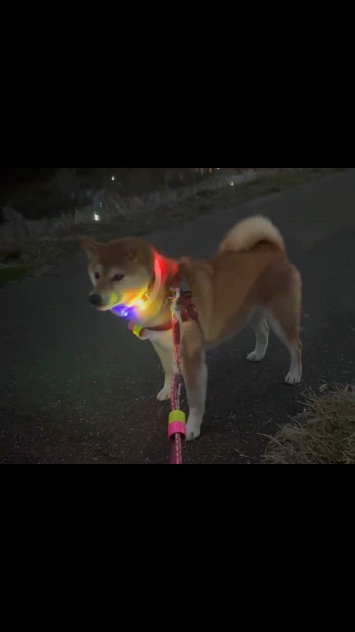 全体のレビュー動画のサムネイル | 5