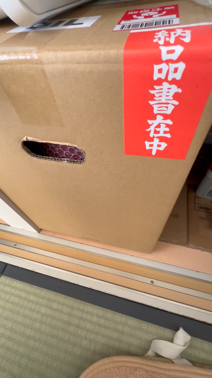 全体のレビュー動画のサムネイル | 0