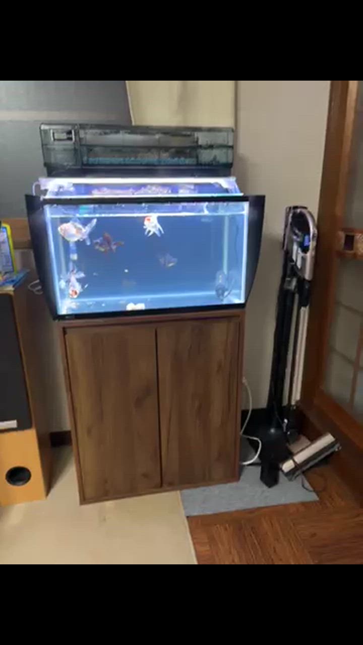 GEX 水槽台 GEX アクアラック ウッド 600BR 60cm お