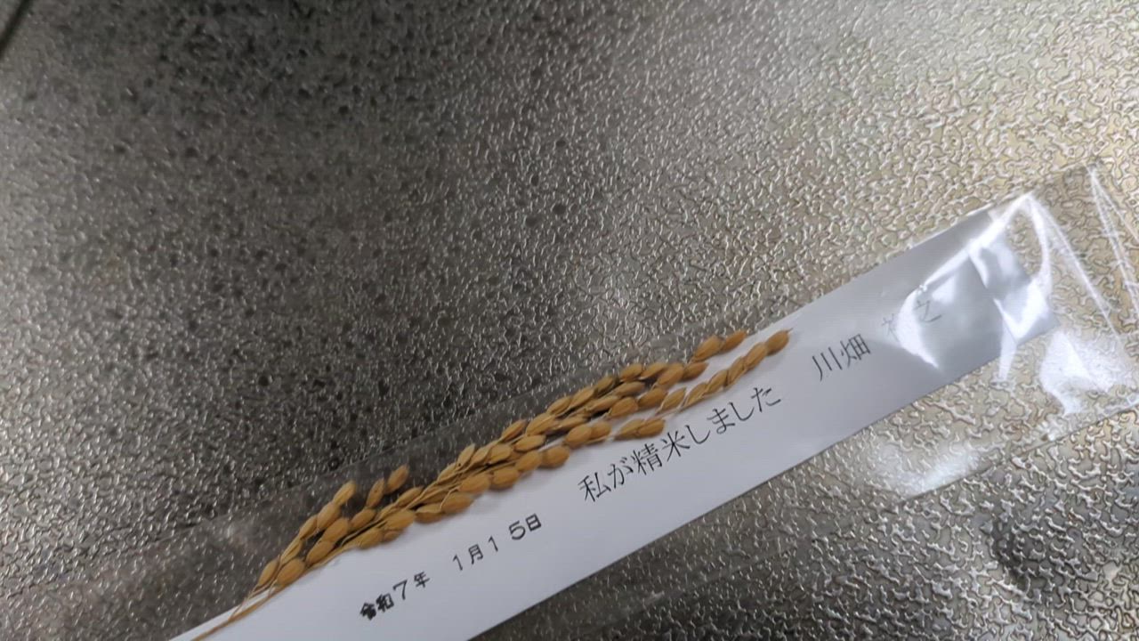 ヒノヒカリ 令和6年産 鹿児島県産 ヒノヒカリ ばたやんの米 単