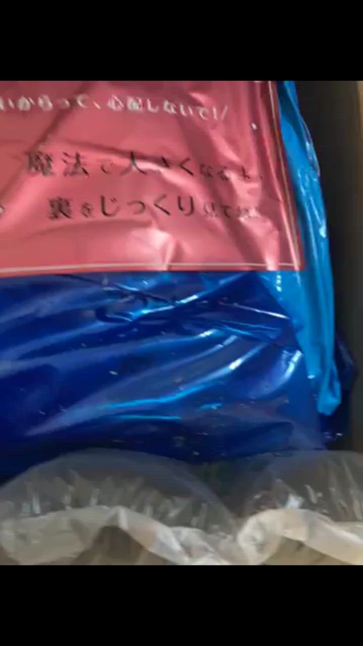 全体のレビュー動画のサムネイル | 2