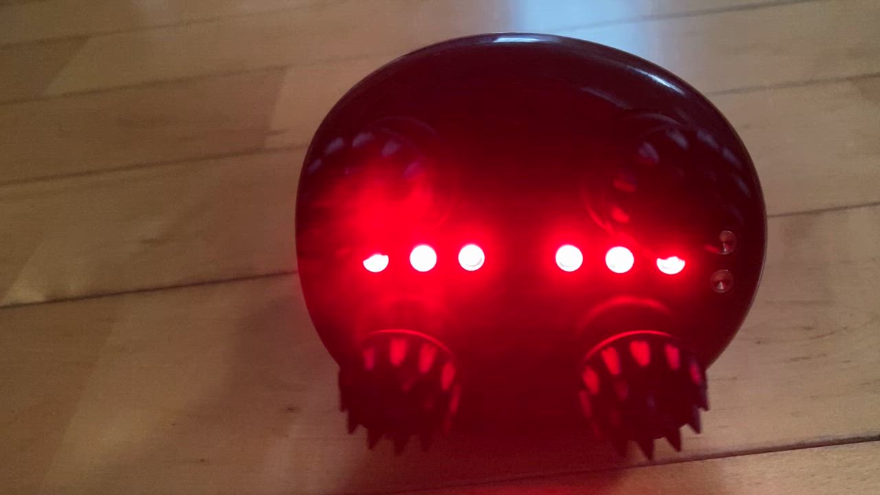 全体のレビュー動画のサムネイル | 8