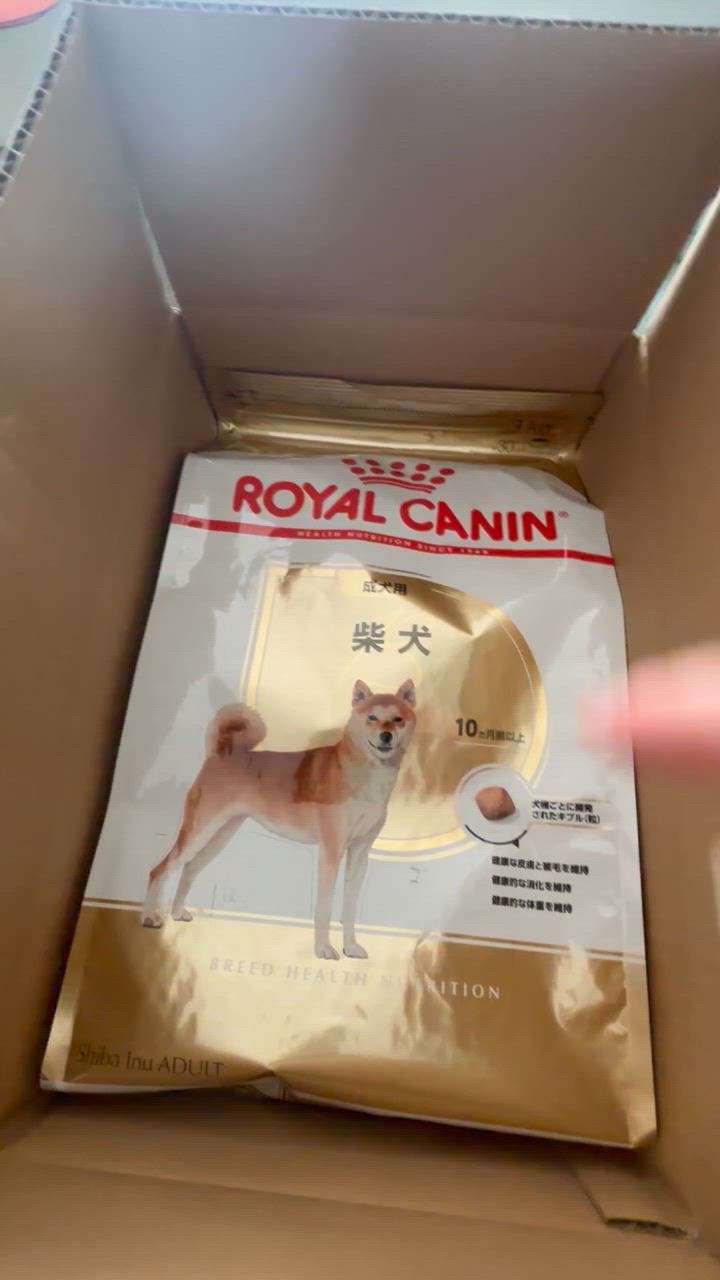  CANIN 柴犬用 ドッグフード 3kg×2袋セット ロイヤルカナン 犬 柴犬 子犬用 3kg×2 ドッグフード フード 犬用