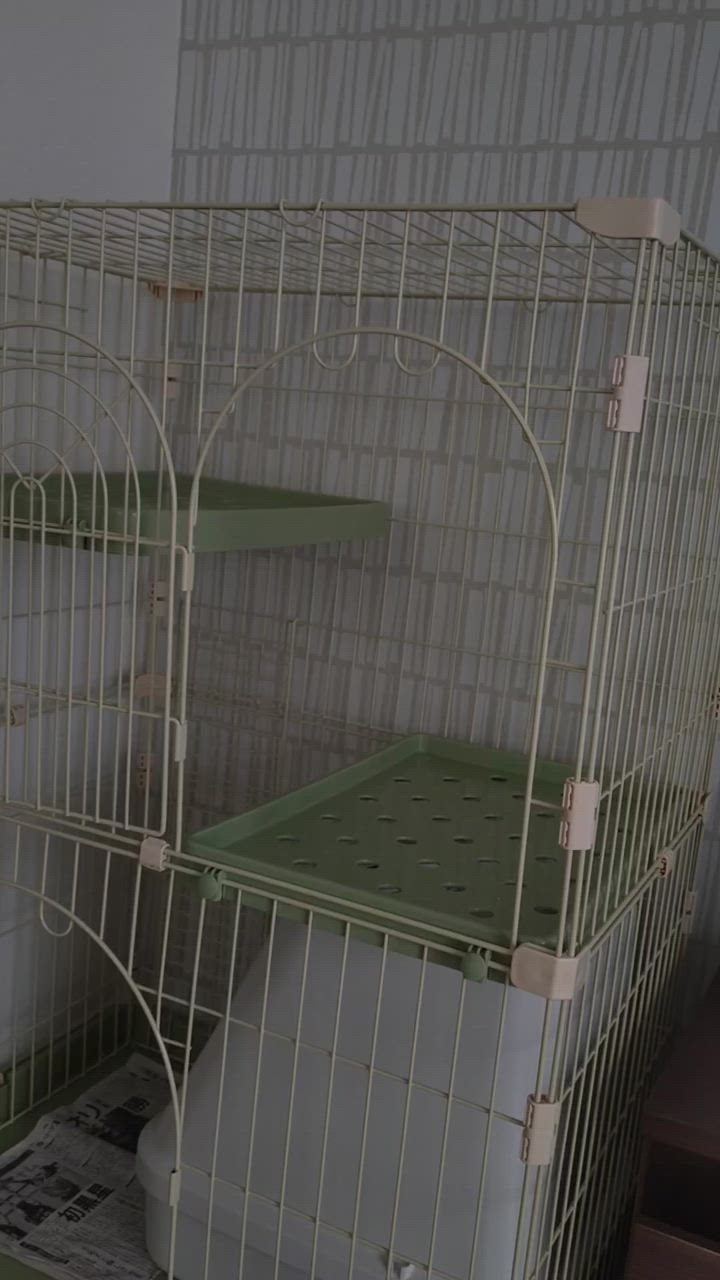 全体のレビュー動画のサムネイル | 0