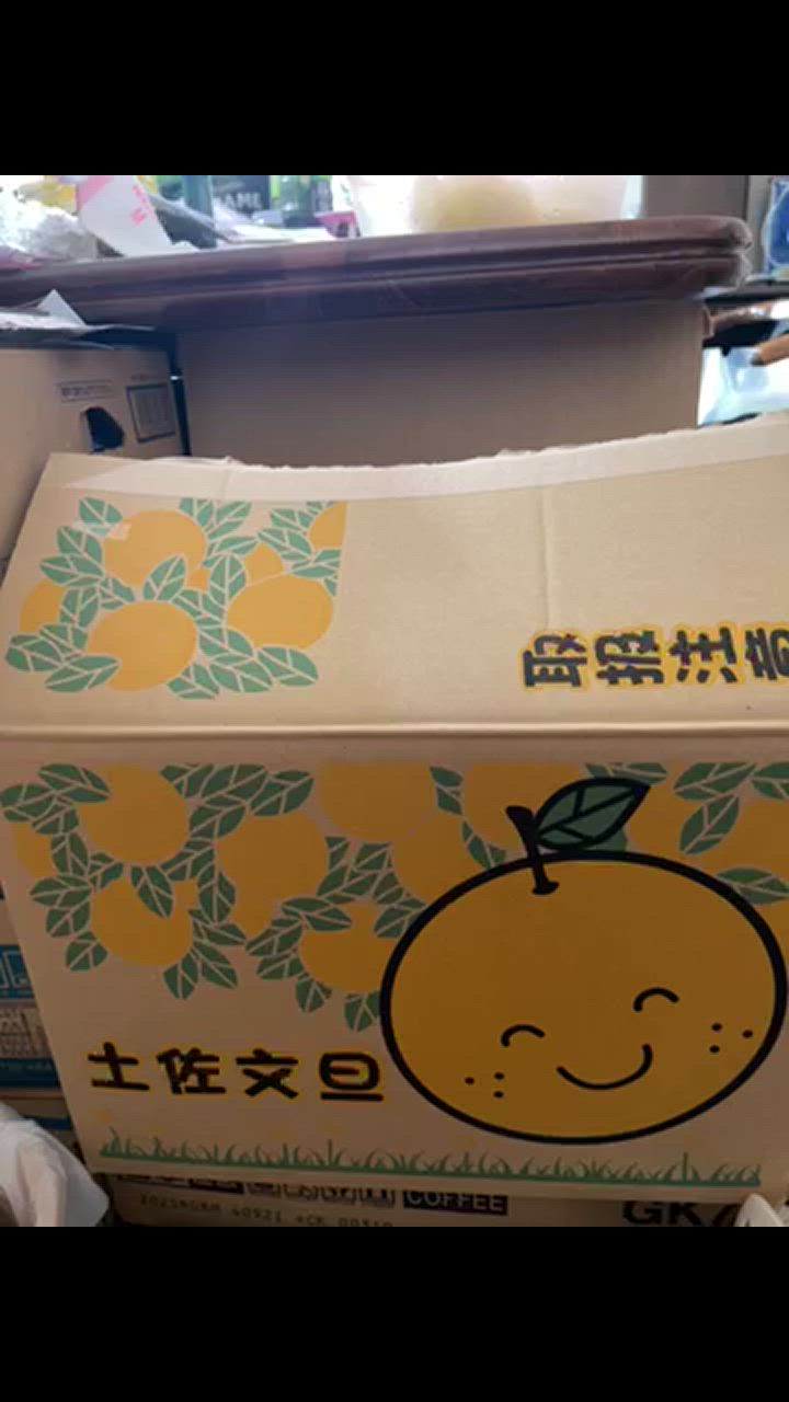 文旦 土佐文旦 大玉限定 4L 3L 混合 10kg ご家庭用 ぶんたん