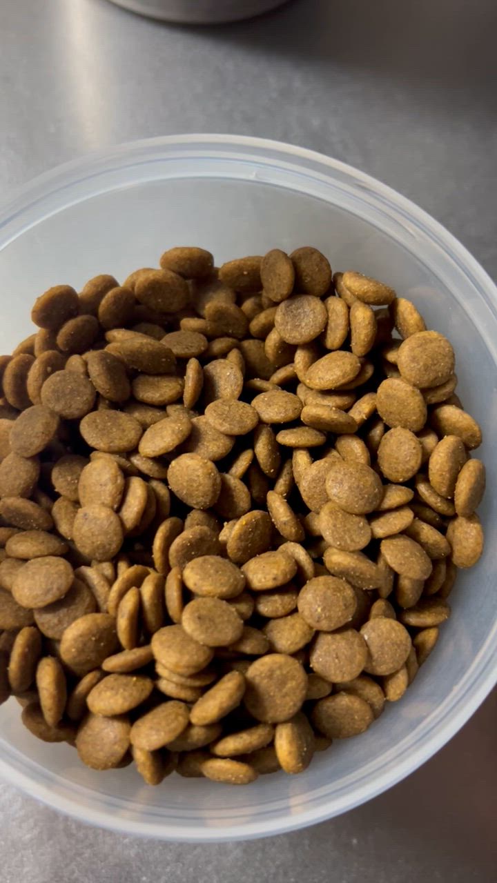 1件目のレビュー動画のサムネイル | 0