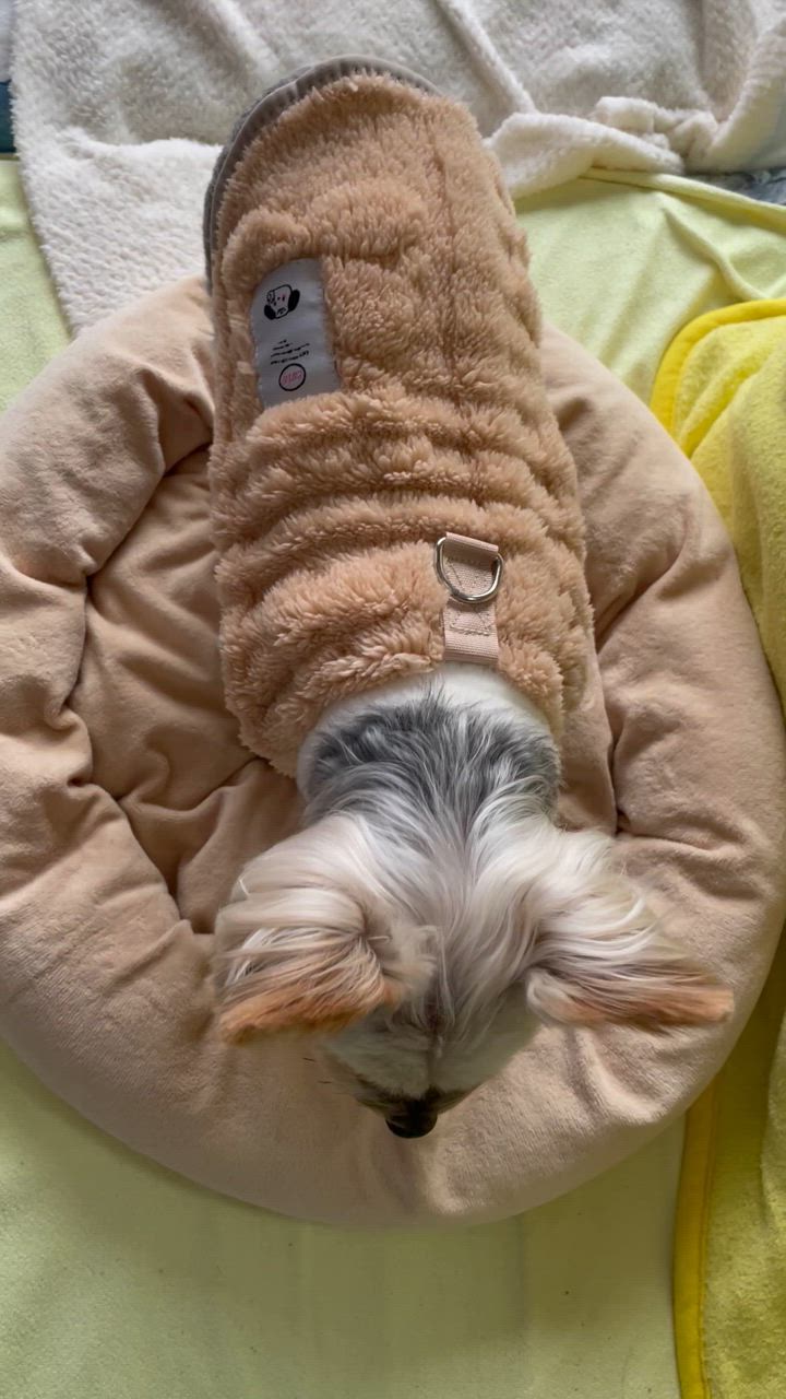 全体のレビュー動画のサムネイル | 7