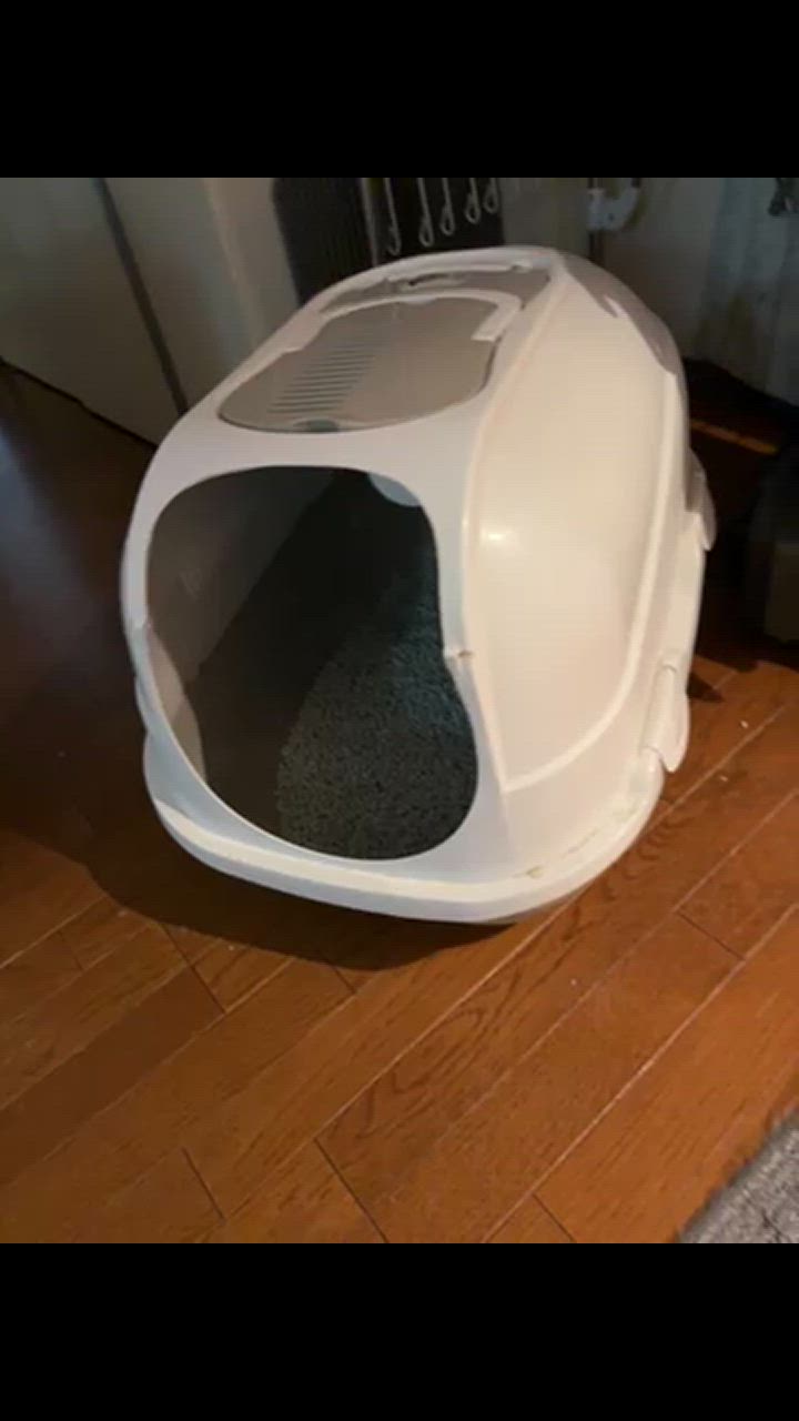 全体のレビュー動画のサムネイル | 2