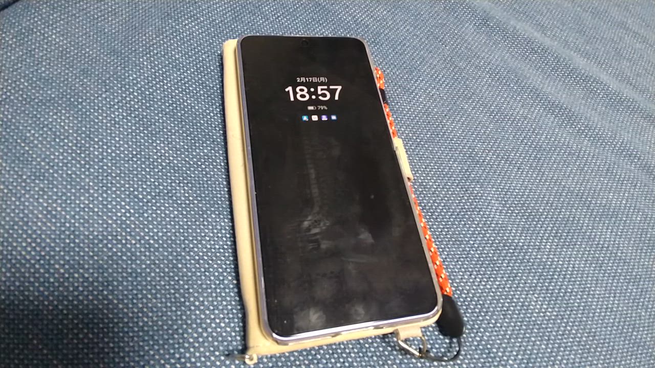 OPPO 【ボーナスストアP10倍+67Wアダプター+透明ケース付】OPPO OPPO 【ボーナスストアP10倍+67Wアダプター+透明ケース付】OPPO