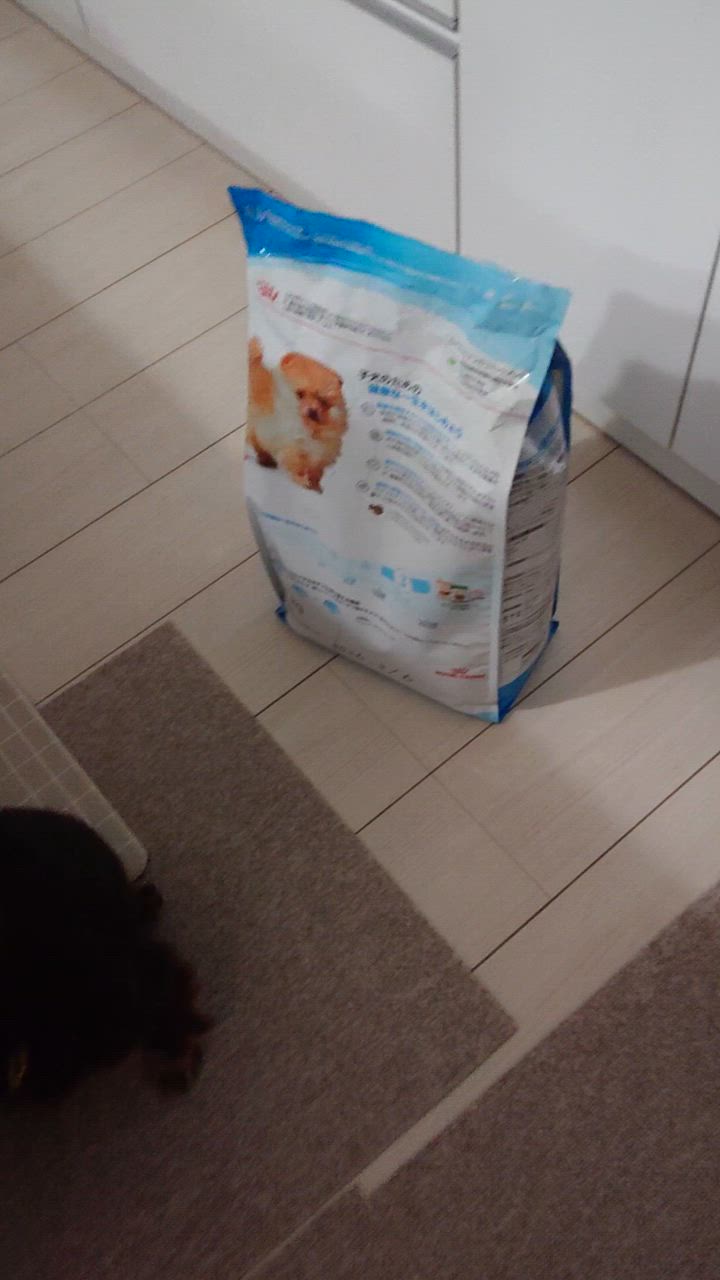 全体のレビュー動画のサムネイル | 1