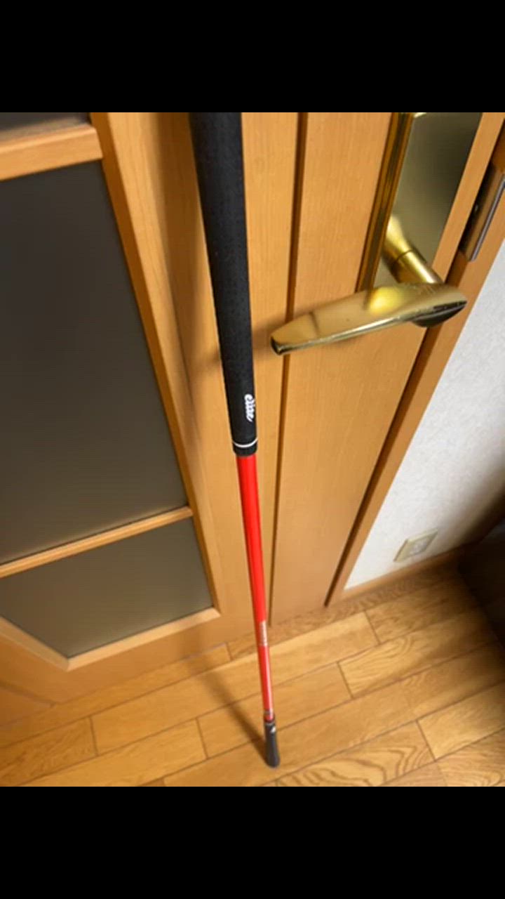 elite grips エリートグリップ日本正規品 ゴルフ専用