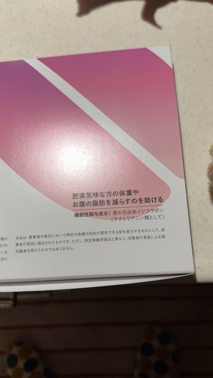 全体のレビュー動画のサムネイル | 6