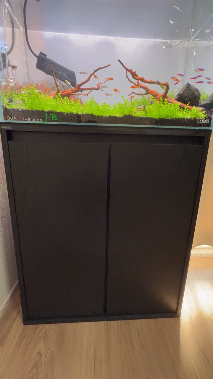 ＧＥＸ　水槽台　りアクアラック　ウッド　６００BK　６０ｃｍ Amazon | GEX アクアラック ウッド 幅60×奥行き30cm以下水槽用
