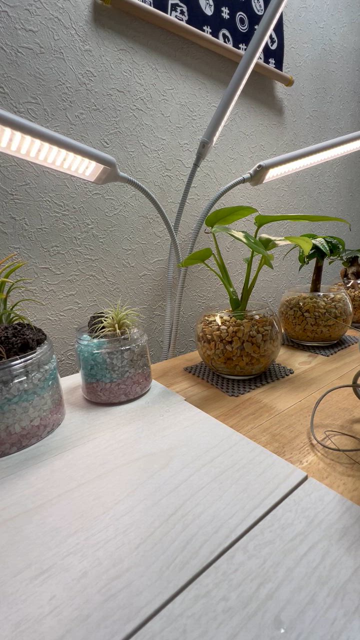 公式】BRIM(ブリム) FLORA 植物育成ライト LED 調光 タイマー