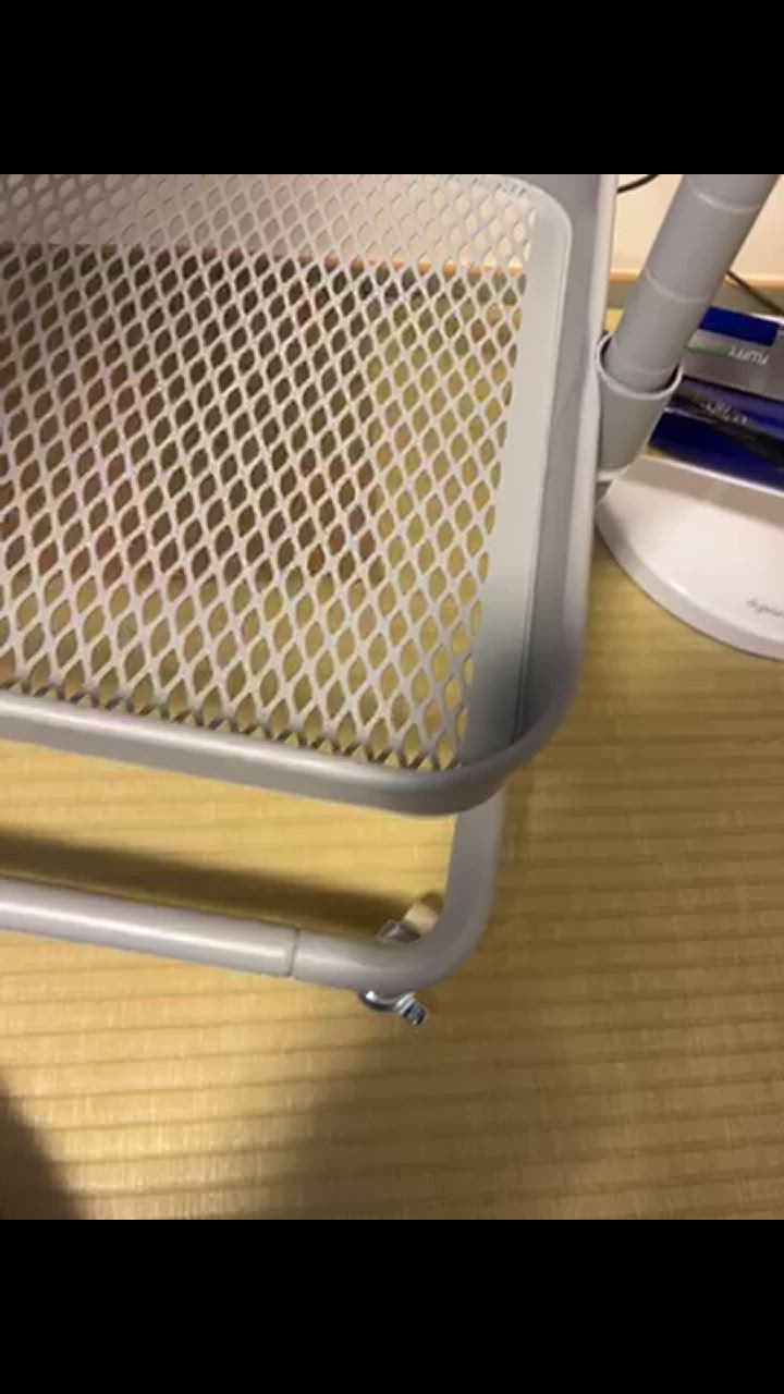 全体のレビュー動画のサムネイル | 0
