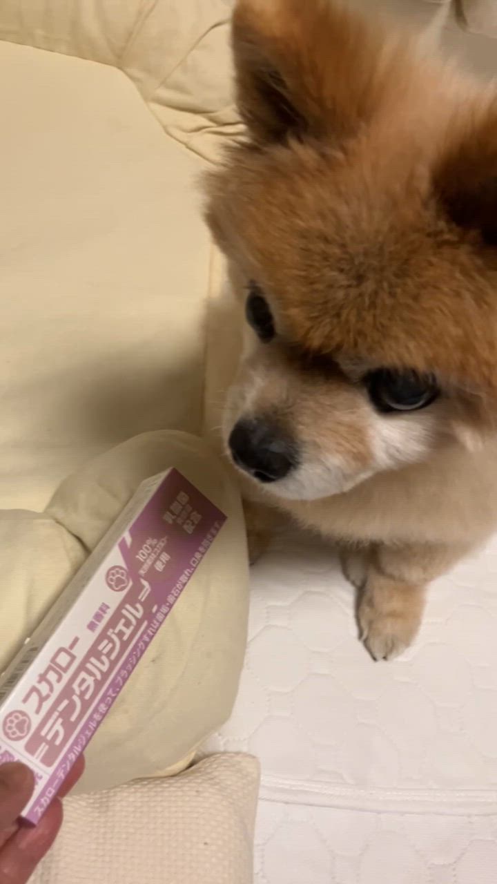 1件目のレビュー動画のサムネイル | 0