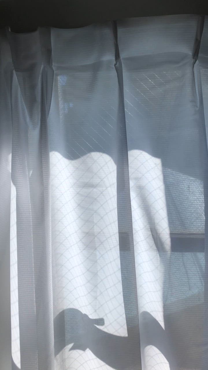 全体のレビュー動画のサムネイル | 2