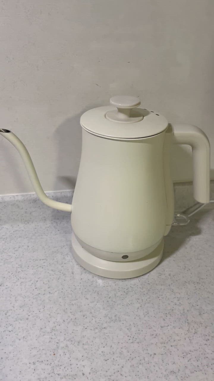 TAKASYOU 電気ケトル おしゃれ ケトル ステンレス 電気ポット TAKASYOU 電気ケトル おしゃれ ケトル ステンレス 電気ポット