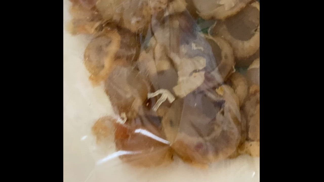 全体のレビュー動画のサムネイル | 1