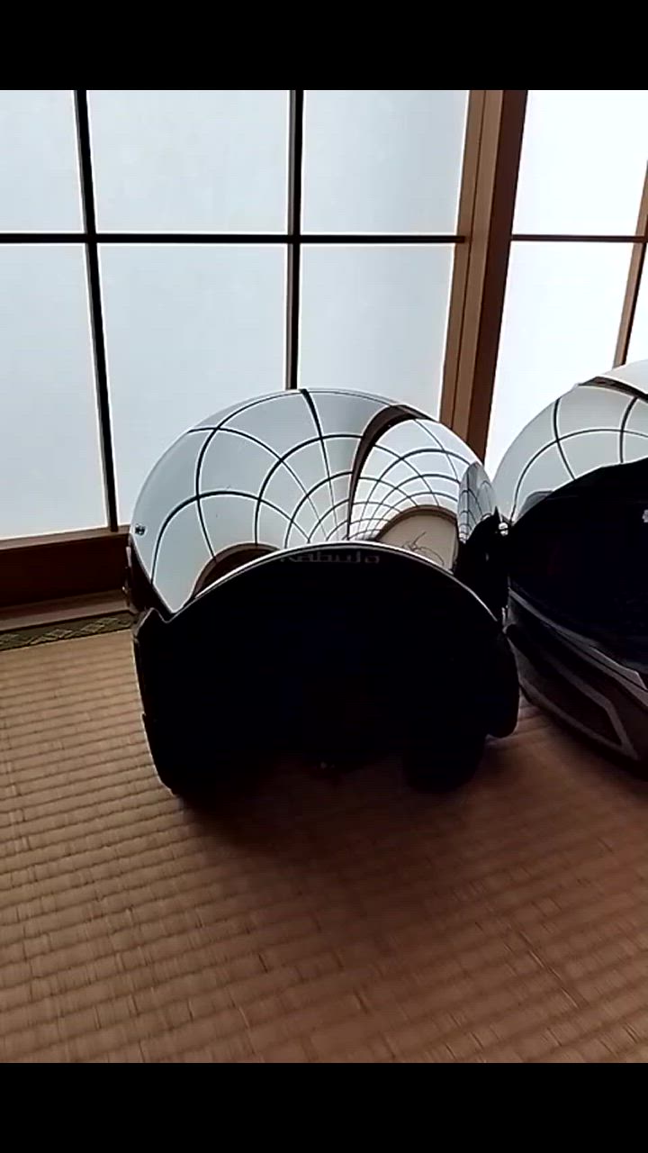 バイク ヘルメット システム カーボン インナーシールド