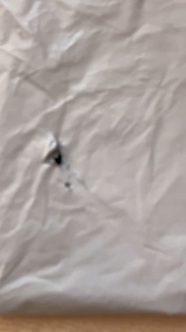 全体のレビュー動画のサムネイル | 4