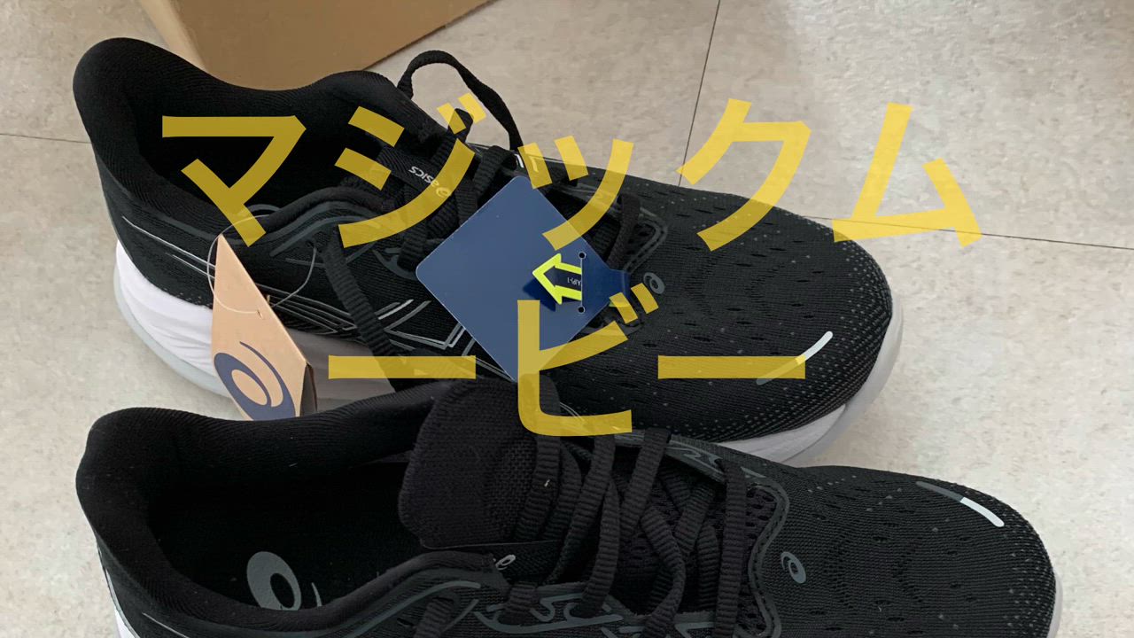 ASICS アシックス（ASICS）（メンズ）ランニングシューズ ゲル