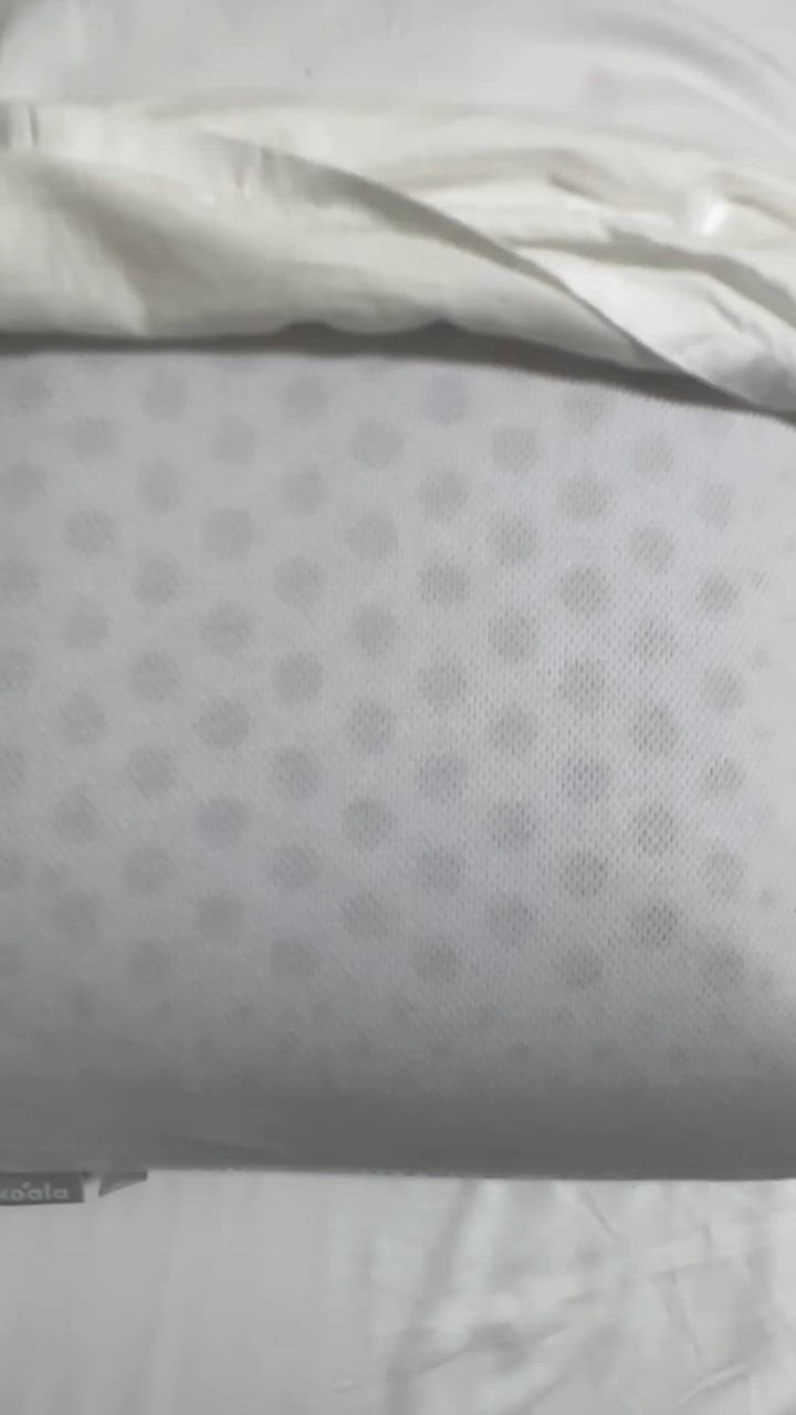 コアラマットレス ＼サタデープラス(MBS/TBS系)で紹介／枕