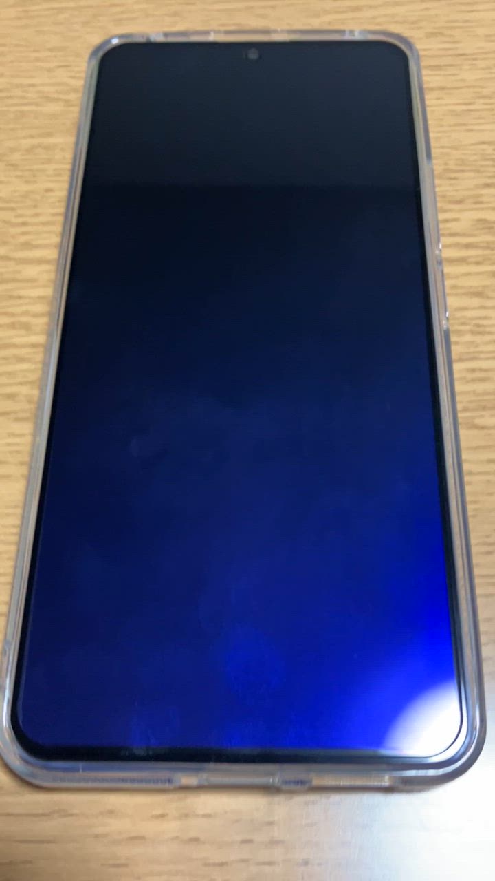 全体のレビュー動画のサムネイル | 1