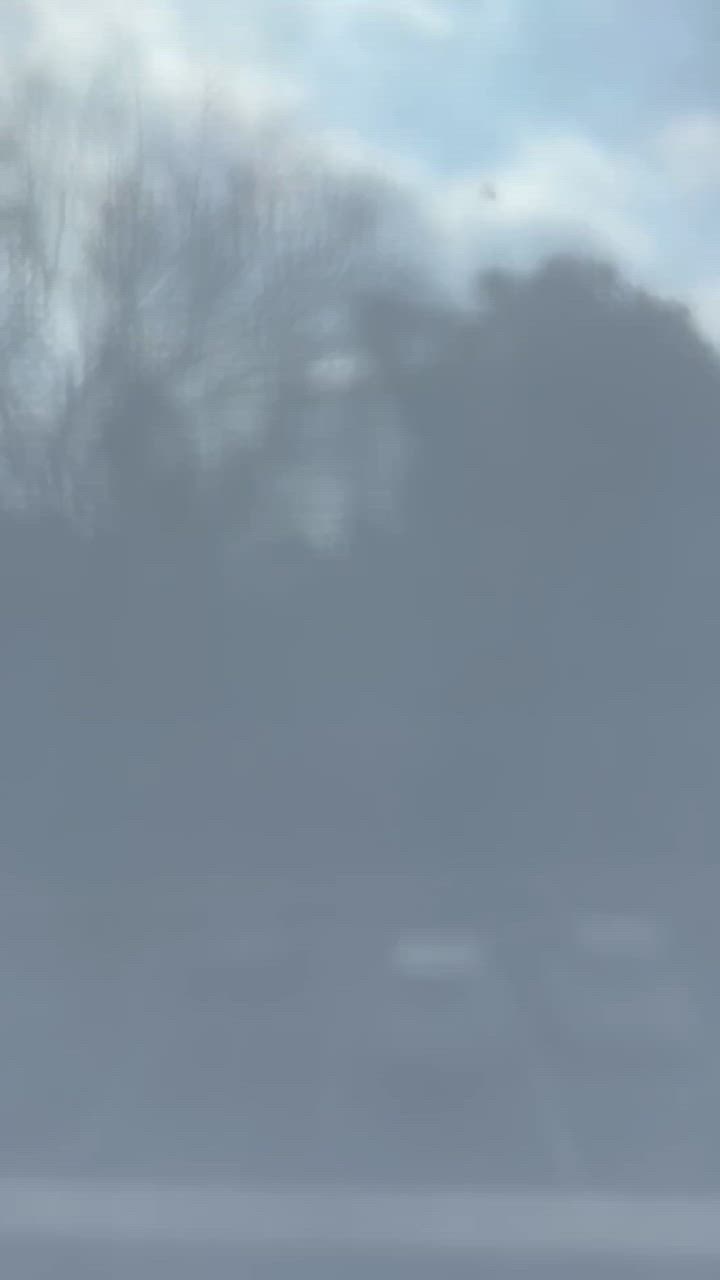 全体のレビュー動画のサムネイル | 9