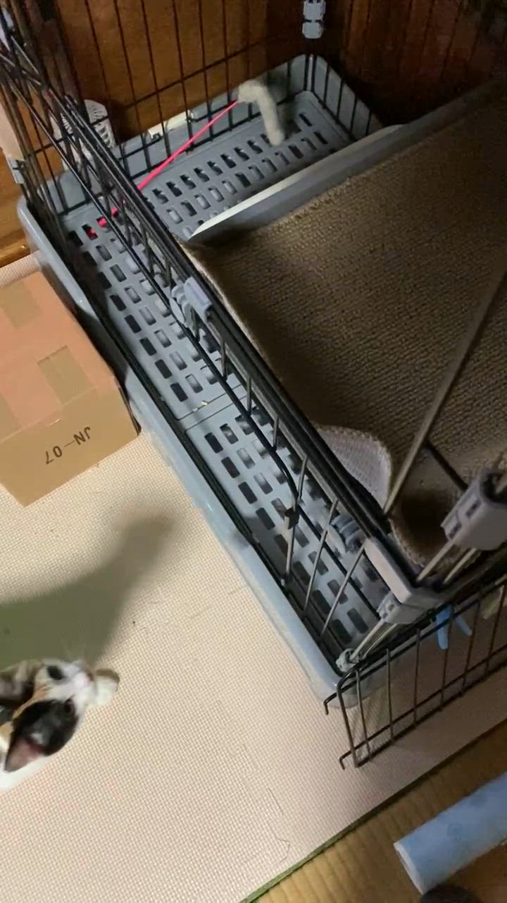 BTM 猫 ケージ キャットケージ 3段 ペットケージ キャスター付