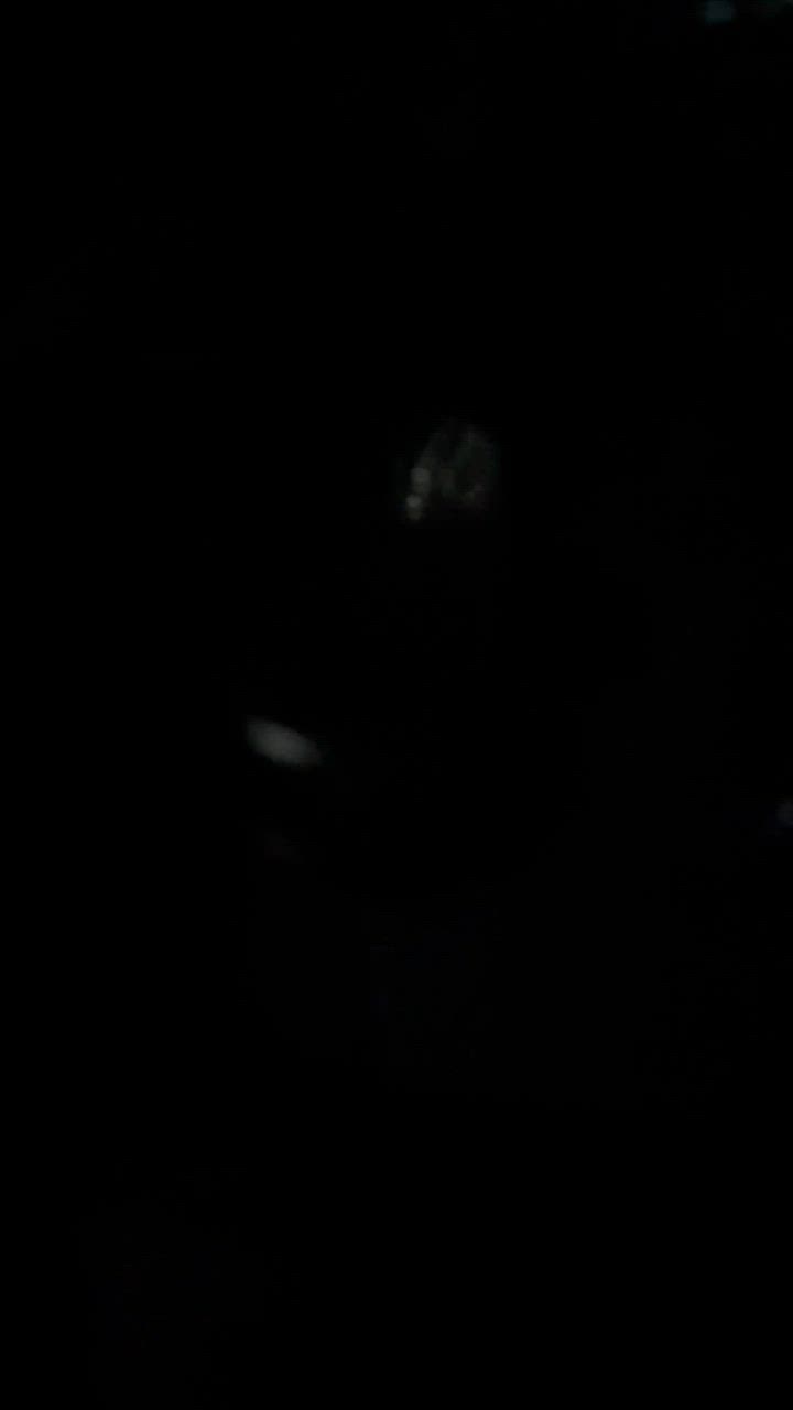 全体のレビュー動画のサムネイル | 2