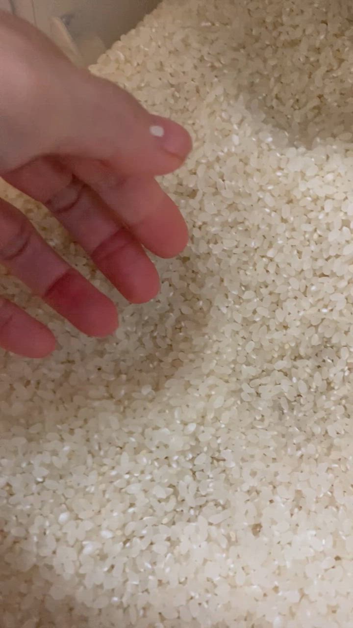 全体のレビュー動画のサムネイル | 0